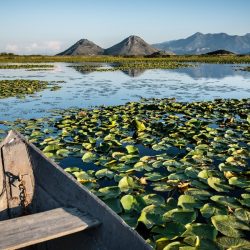 7_montenegro_national_park_excursions_skadar_lake